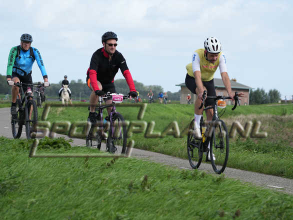 D2009.jpg